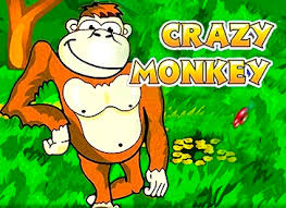 Crazy Monkey igraj s udovolstviem.