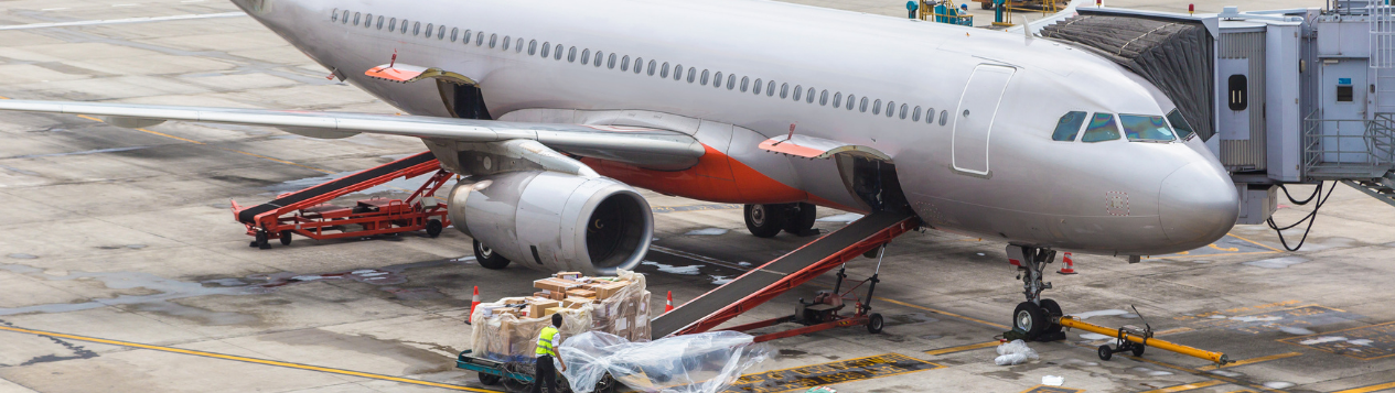 Авиаперевозки из Индии: удобный и быстрый способ доставки грузов и пассажиров